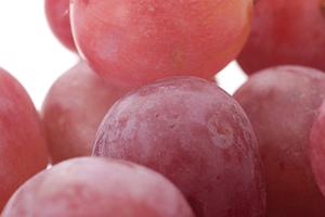 ウイスキーの品揃えが豊富な酒屋をお探しなら